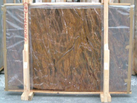 Forest brown