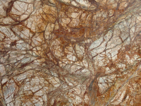 Forest brown GMI