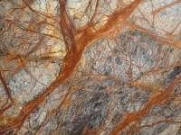 Rain Forest Brown