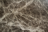 Marmo Marron Emperador Light