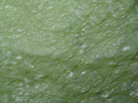 Verde Ming