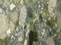 Verde Gaughin