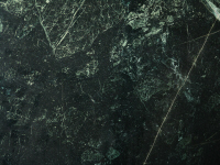 Verde Assoluto