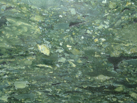 Oasis green