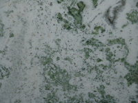 Marmo Verde Lemon