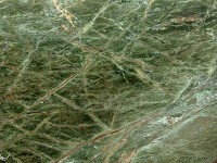 Verde Forrest Green
