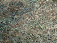 Forest green