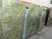 Rain forest green