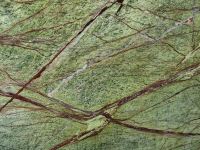 Rain forest green