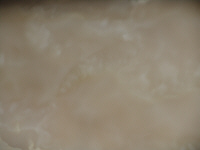 Marmo Onice Bianco crema