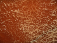 Marmo Onice rosso
