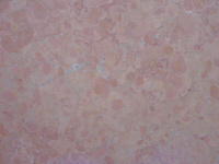 Nembro rosato