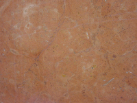 Arancio. ITALIA