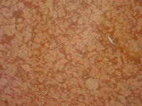 Rosso Broccato di Verona