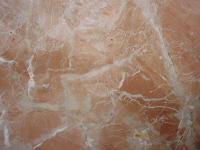 Coralito