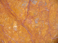 Breche meduse