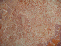 Breccia pernice