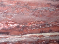 Rosso estense