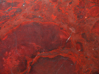 Rosso Matisse