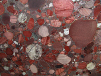 Marinace Red