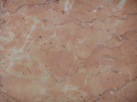 Marmo Crema valencia rosato