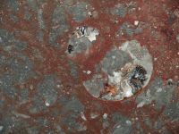Marmo Fossile Rosso