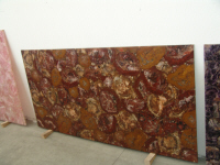 Legno fossile