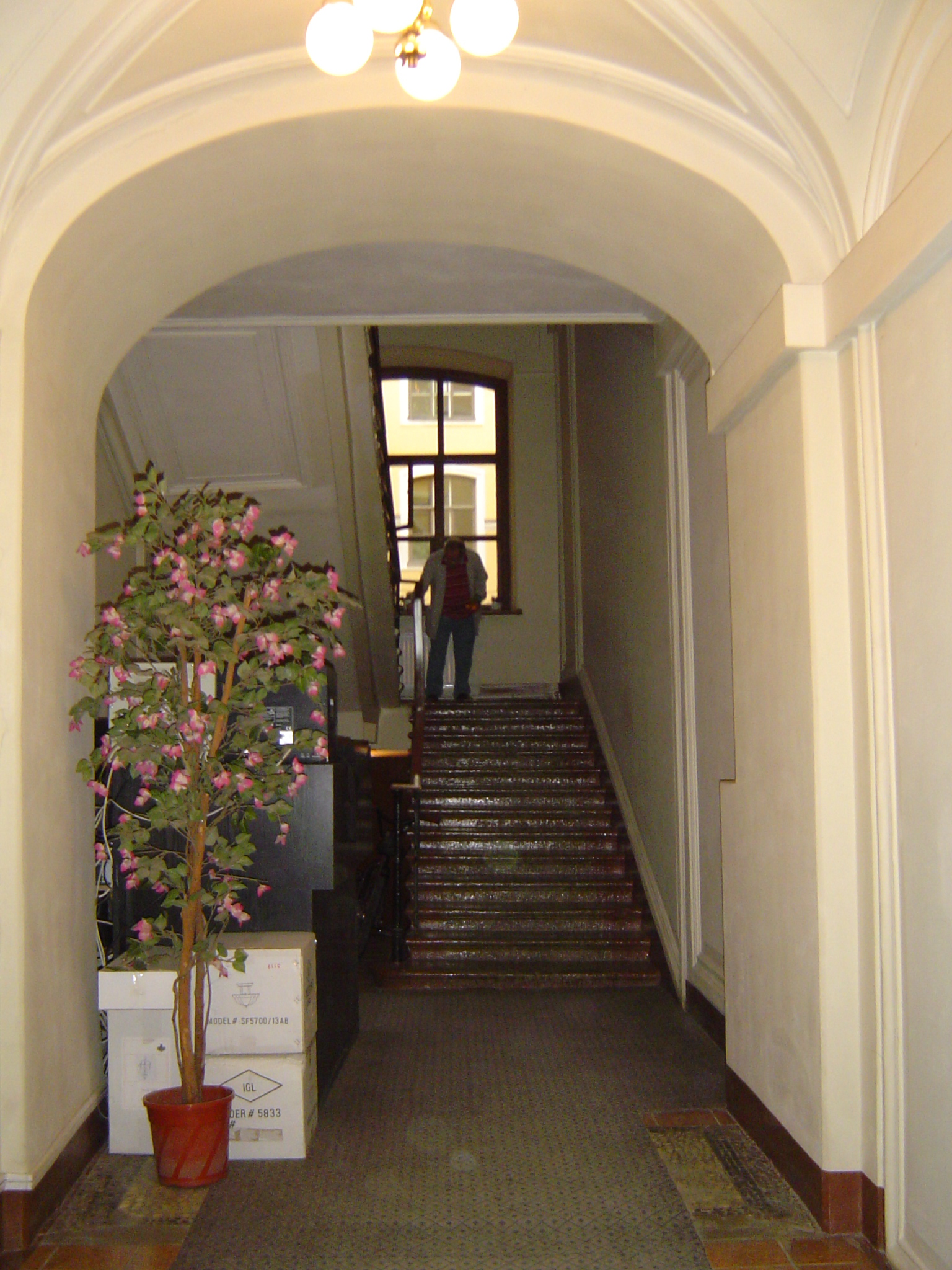 Bespoke Carrara Marble Installations