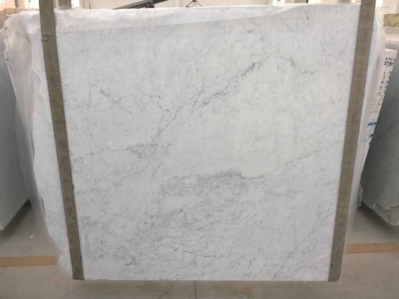 Luxury Carrara Marble Slabs