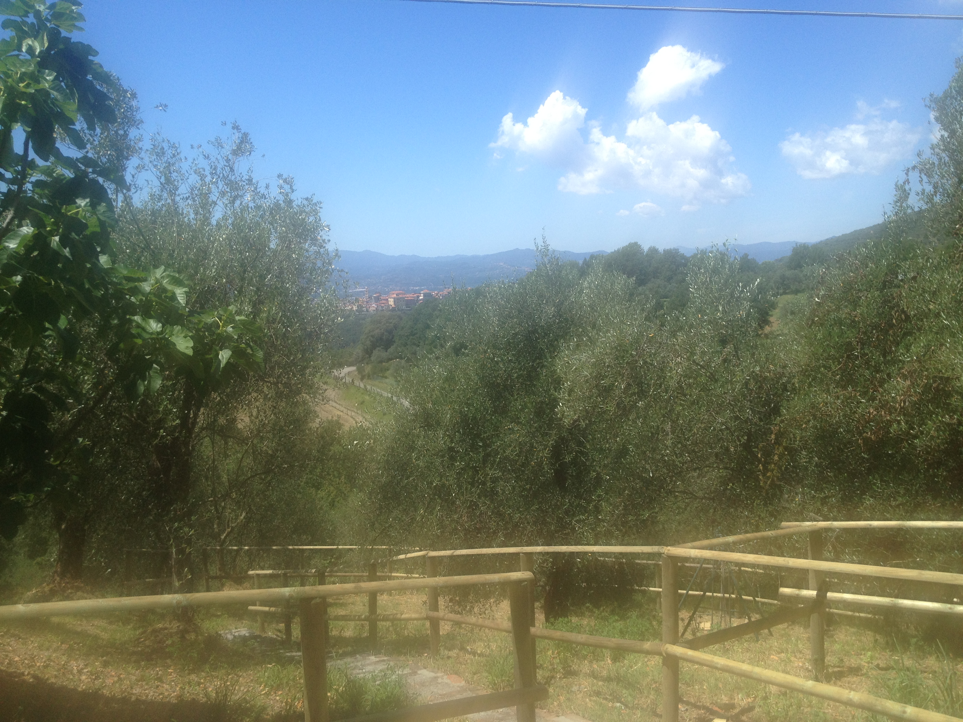 Bespoke Carrara Marble Installations