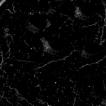 Bespoke Carrara Marble Installations