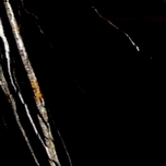 Bespoke Carrara Marble Installations