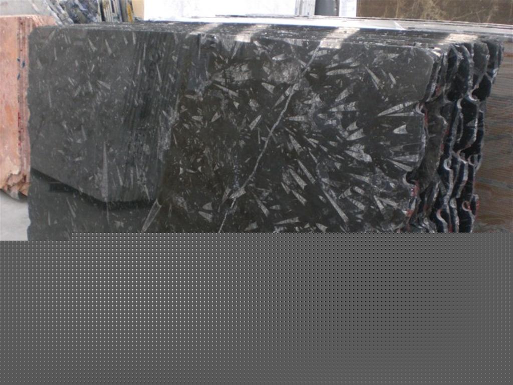 Bespoke Carrara Marble Installations