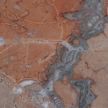 Bespoke Carrara Marble Installations