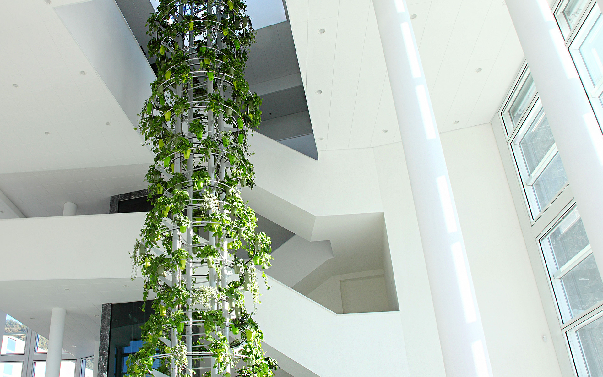 Bespoke Carrara Marble Installations