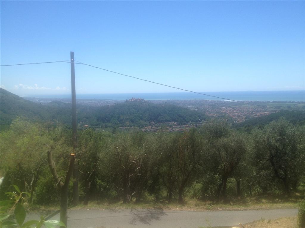 Bespoke Carrara Marble Installations