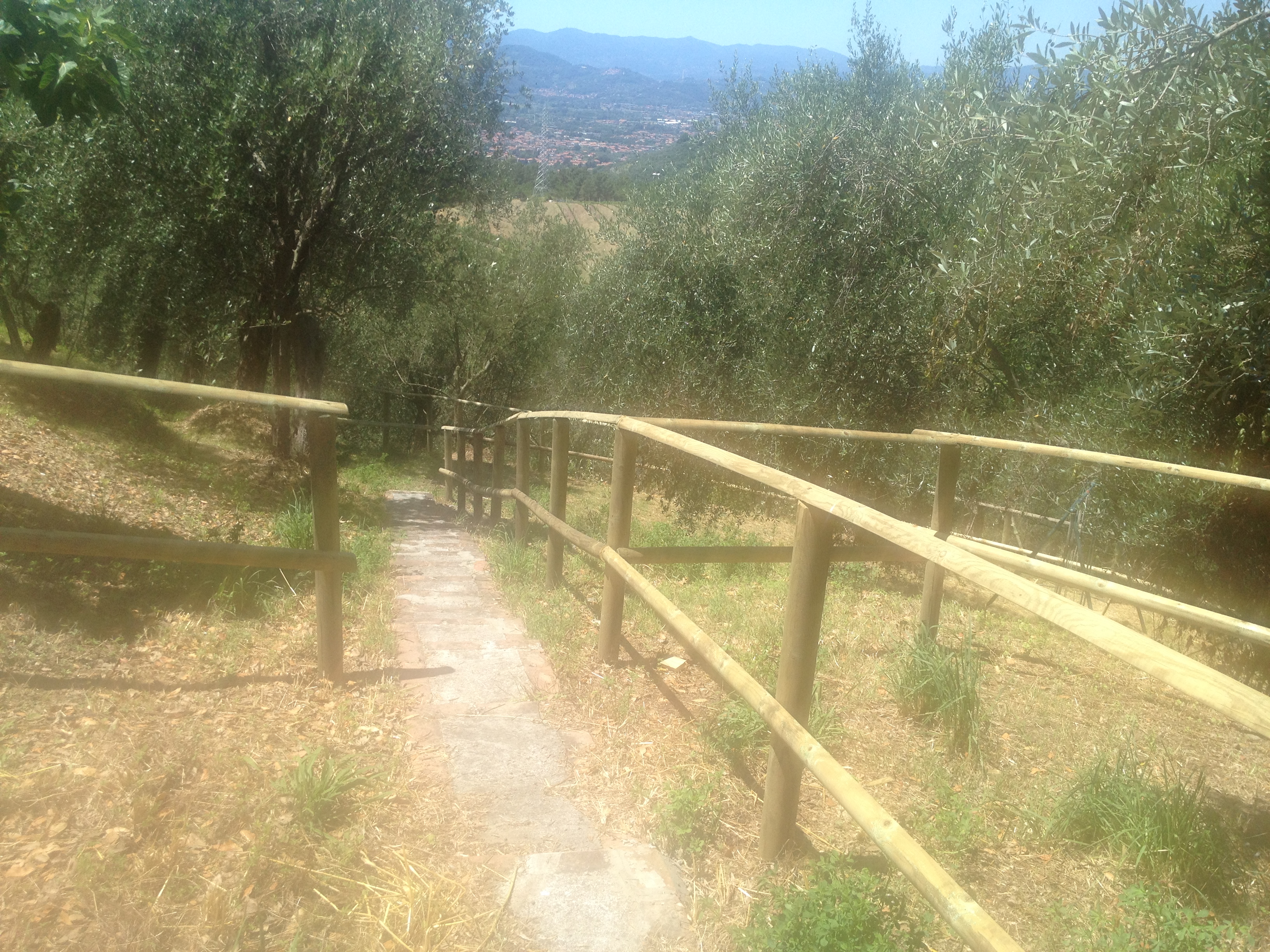 Bespoke Carrara Marble Installations