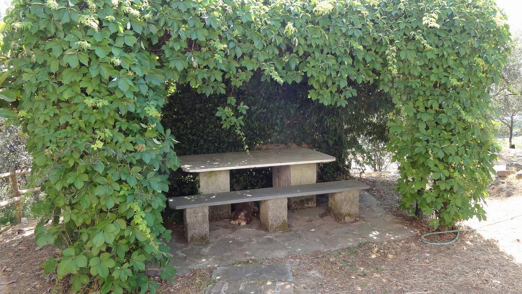 Bespoke Carrara Marble Installations