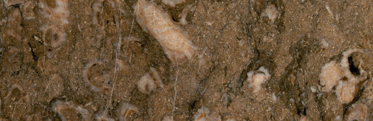 Bespoke Carrara Marble Installations