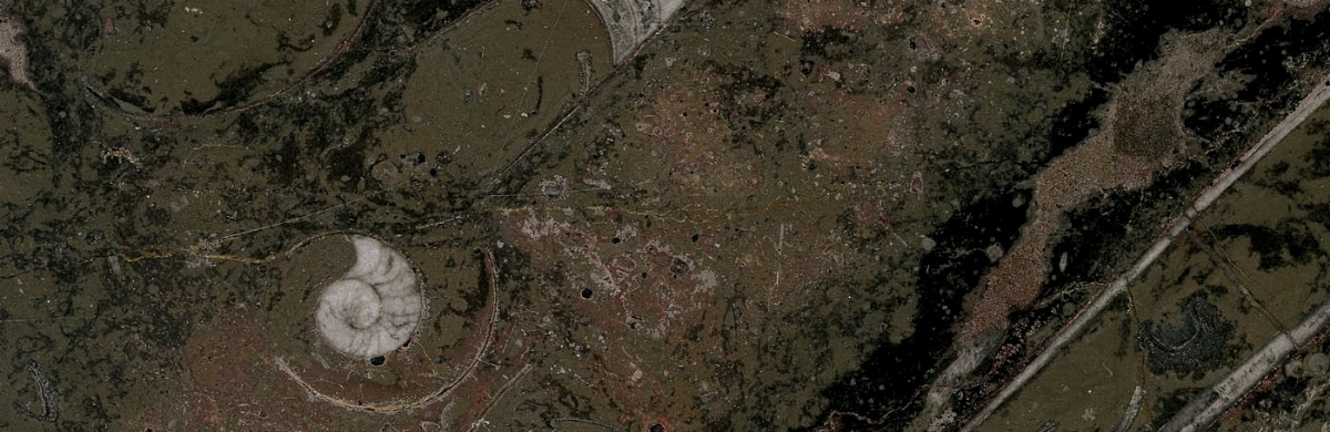 Bespoke Carrara Marble Installations