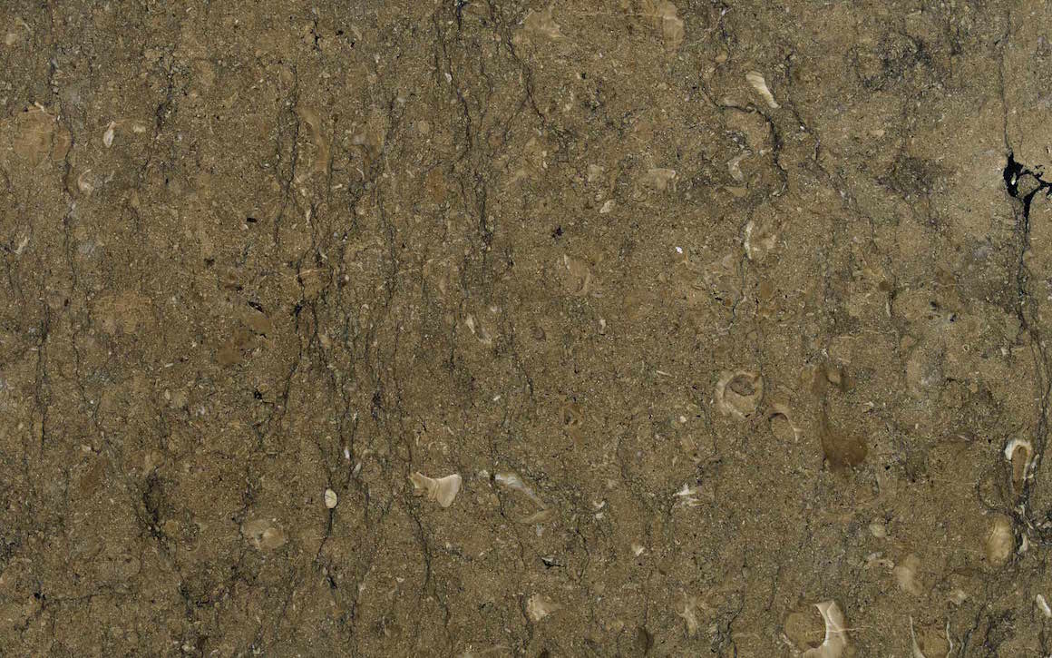 Bespoke Carrara Marble Installations