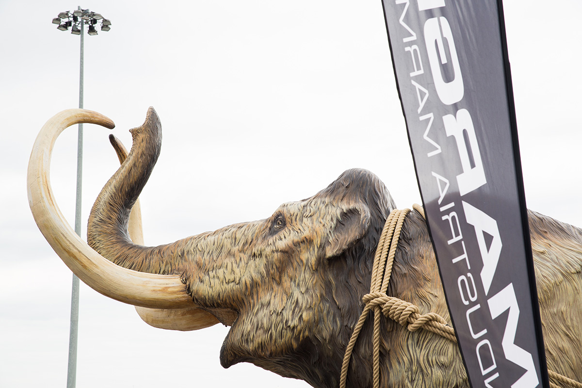 Bespoke Carrara Marble Installations