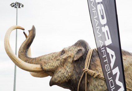 Bespoke Carrara Marble Installations