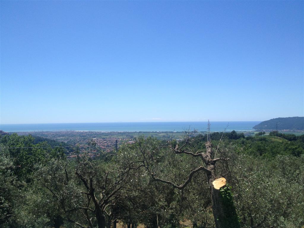 Bespoke Carrara Marble Installations