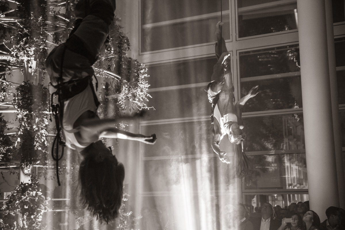 Bespoke Carrara Marble Installations