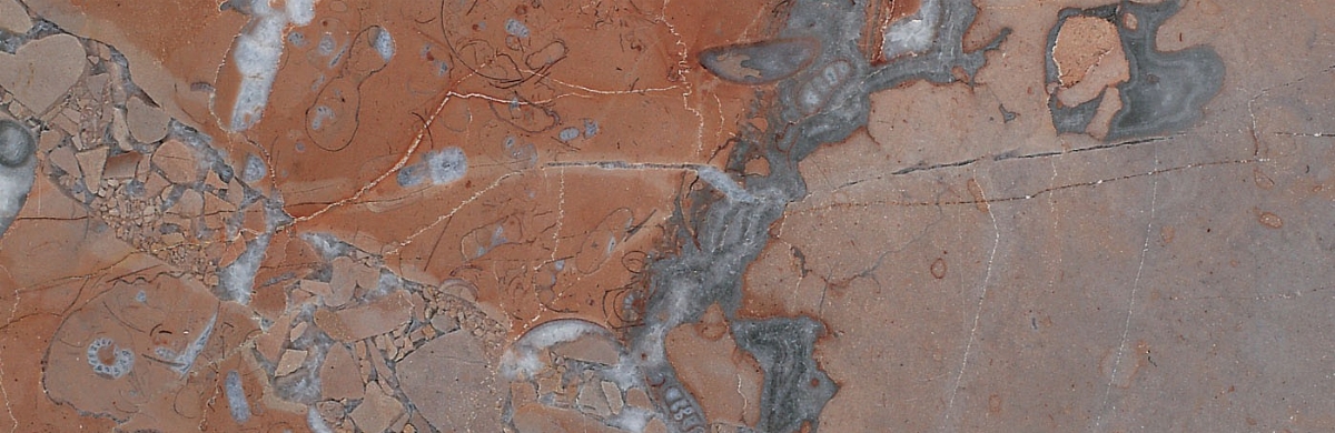 Bespoke Carrara Marble Installations