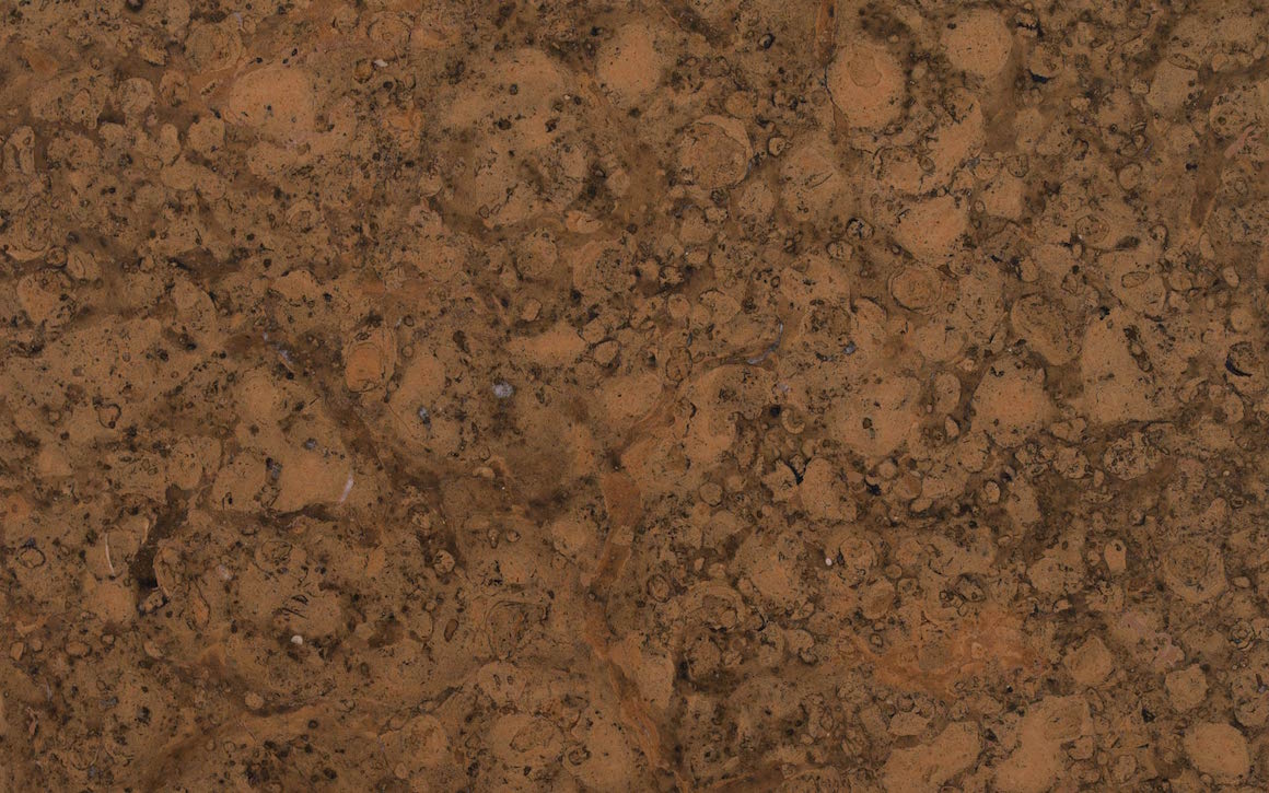 Bespoke Carrara Marble Installations