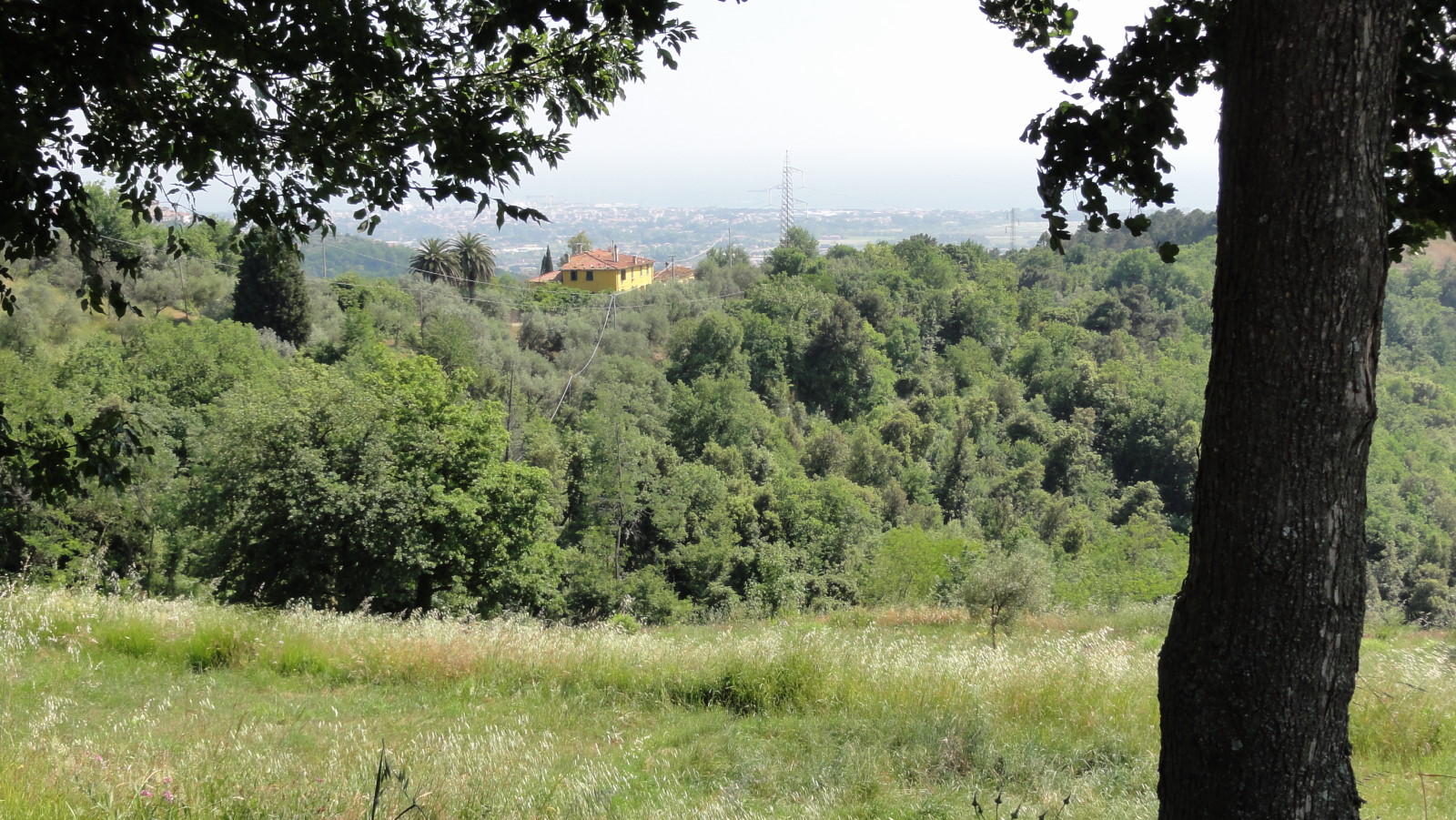 Bespoke Carrara Marble Installations