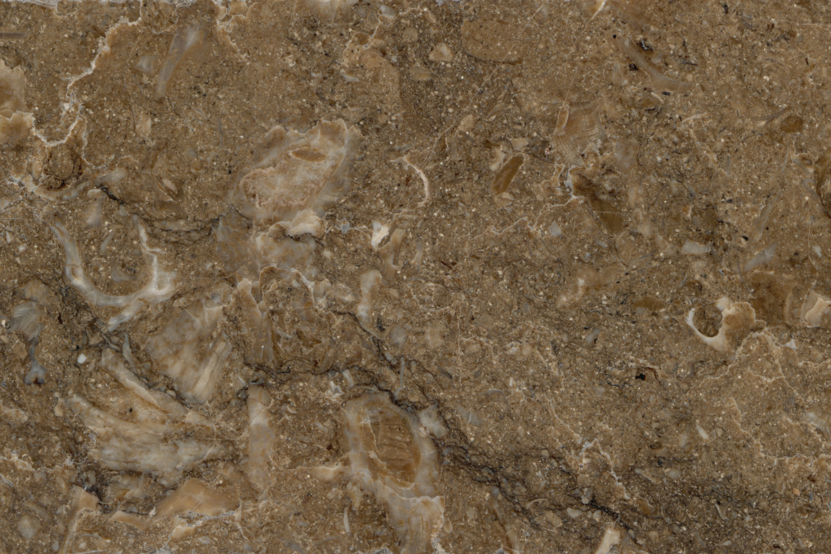 Bespoke Carrara Marble Installations