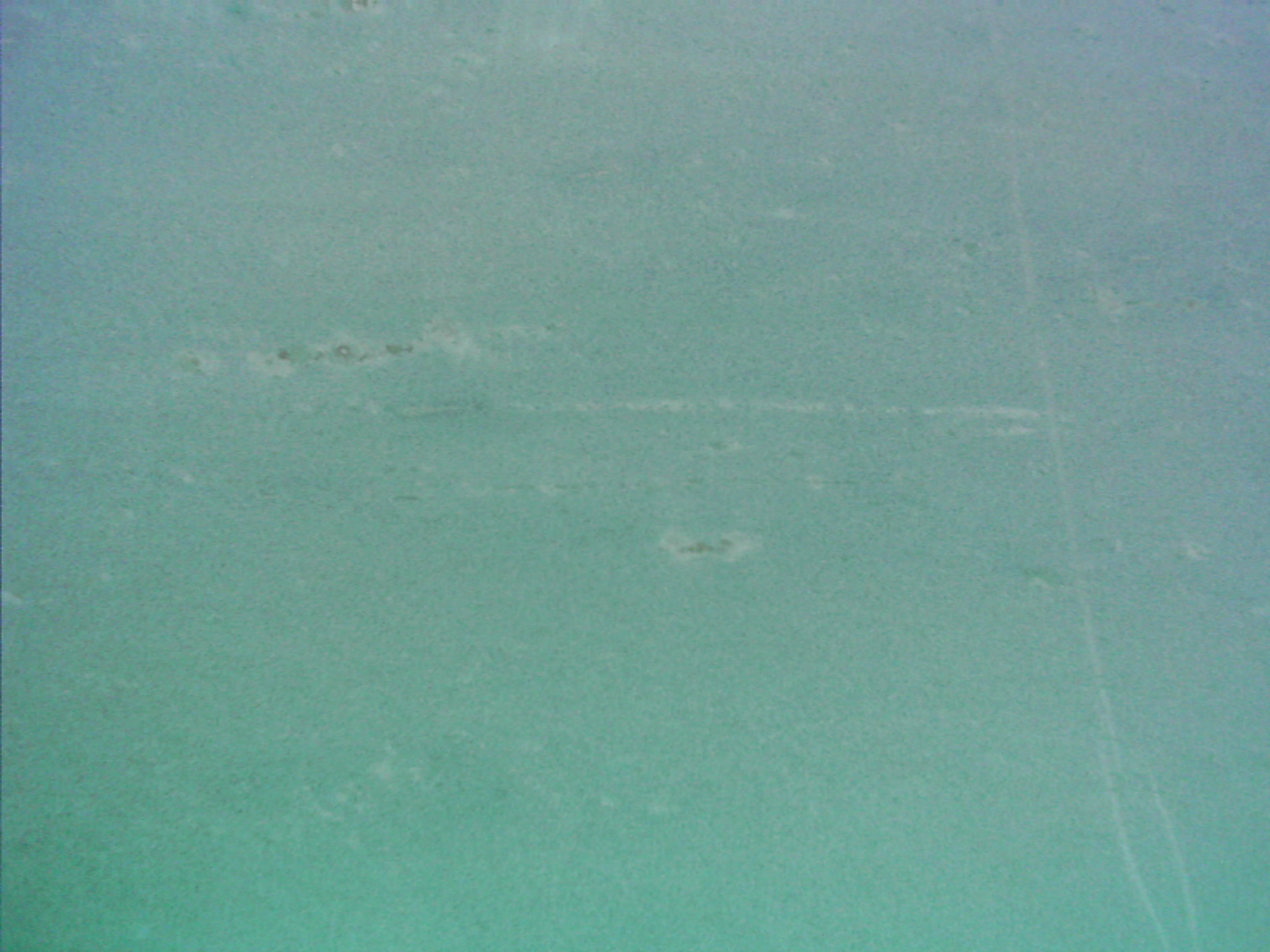 Bespoke Carrara Marble Installations